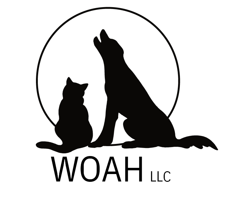 WOAH.png