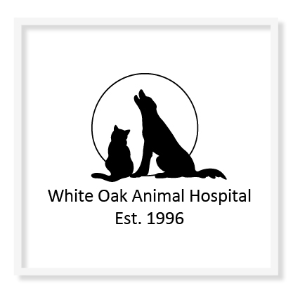 White Oak Animal Hospital
